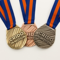 medale odlewane; wykończenie w trzech kolorach sportowych; medale wieszane na tasiemce przeszywanej