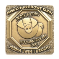 medal odlewany; wykończenie w kolorze mosiądzu patynowanego; wymiary 70 x 70mm